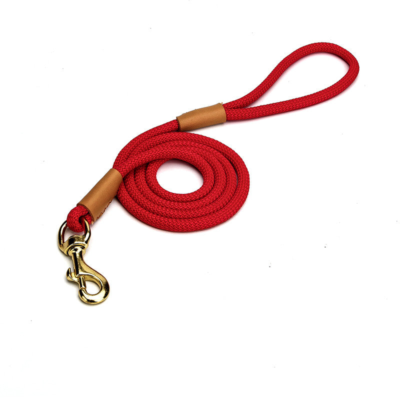 Lightweight Dog Leash Walking For Puppies