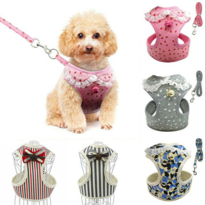 Dog leash, Cute leash for dog, cat