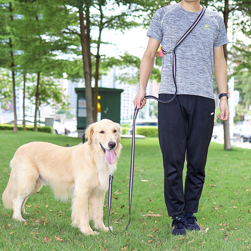 Extended Dog Leash For Walking The Dog Multifunctional Traction Rope