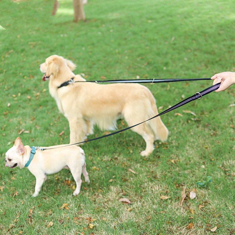 Extended Dog Leash For Walking The Dog Multifunctional Traction Rope