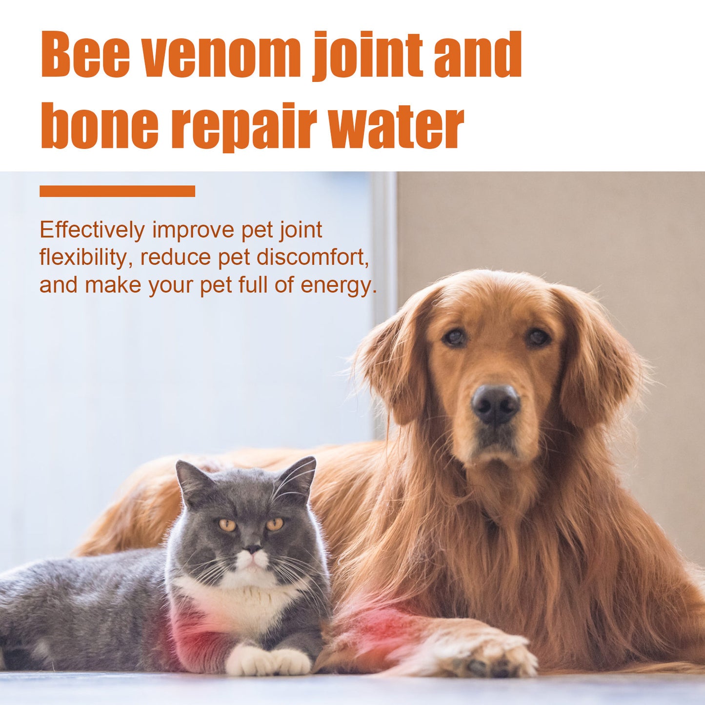 Bee Venom Joint Water Dogs And Cats Joint Care Relieve Pet Joint Pain