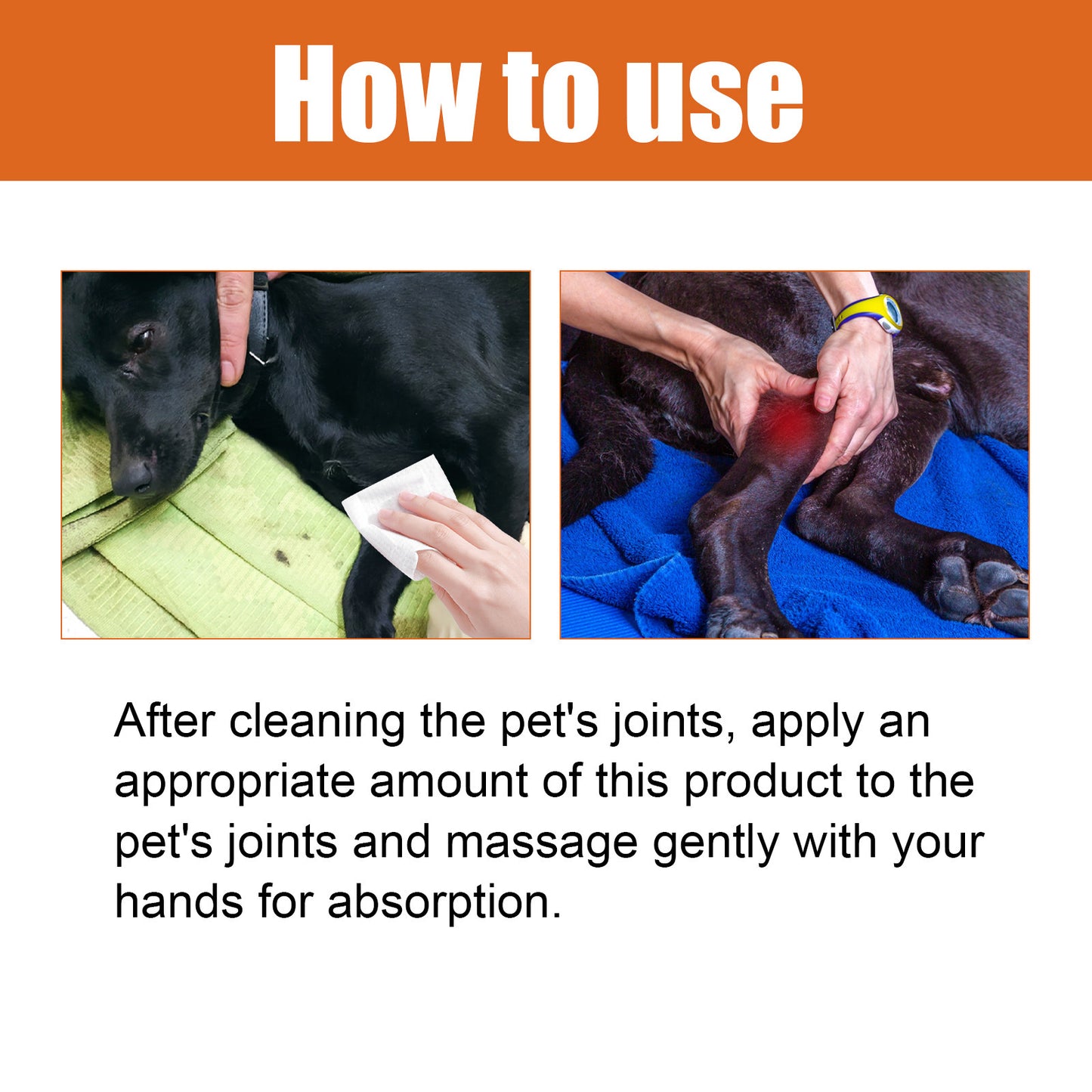 Bee Venom Joint Water Dogs And Cats Joint Care Relieve Pet Joint Pain