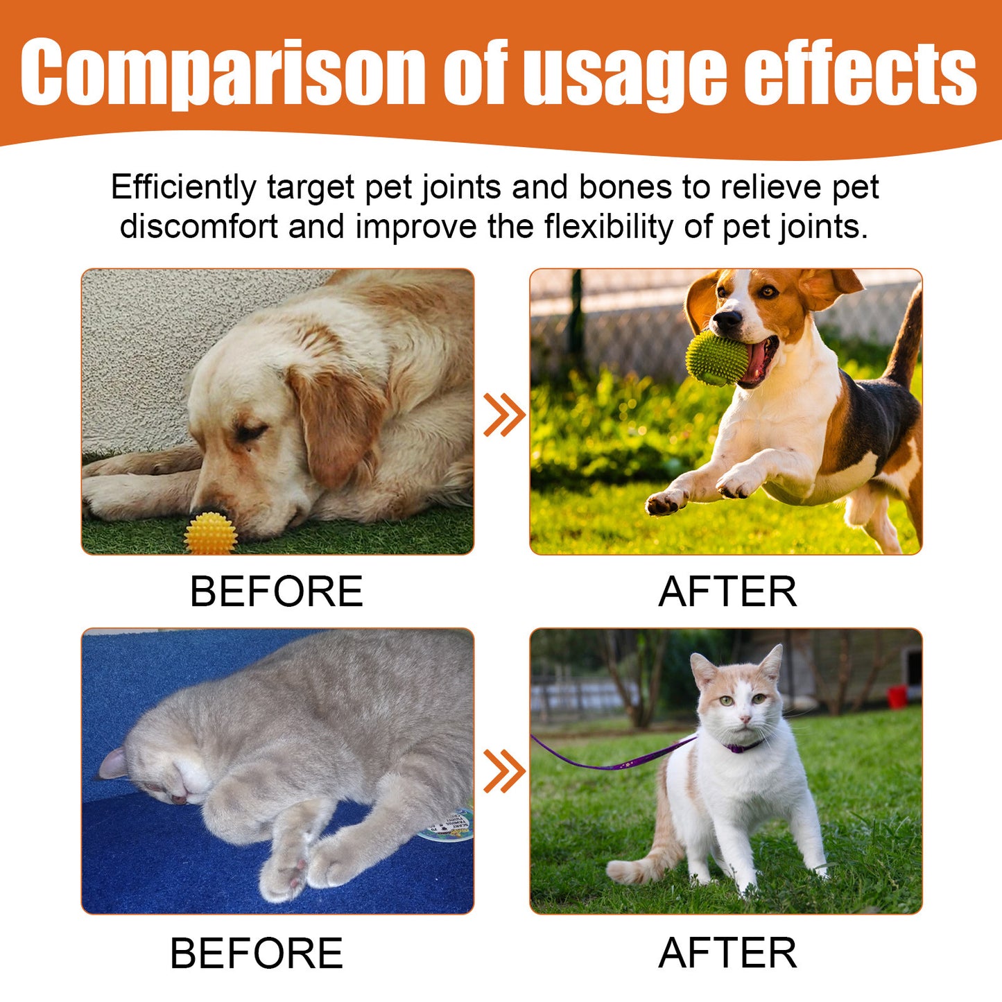 Bee Venom Joint Water Dogs And Cats Joint Care Relieve Pet Joint Pain