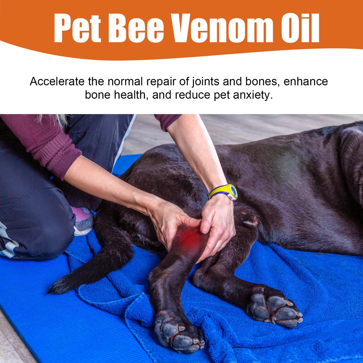 Bee Venom Joint Water Dogs And Cats Joint Care Relieve Pet Joint Pain