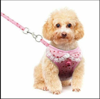 Dog leash, Cute leash for dog, cat