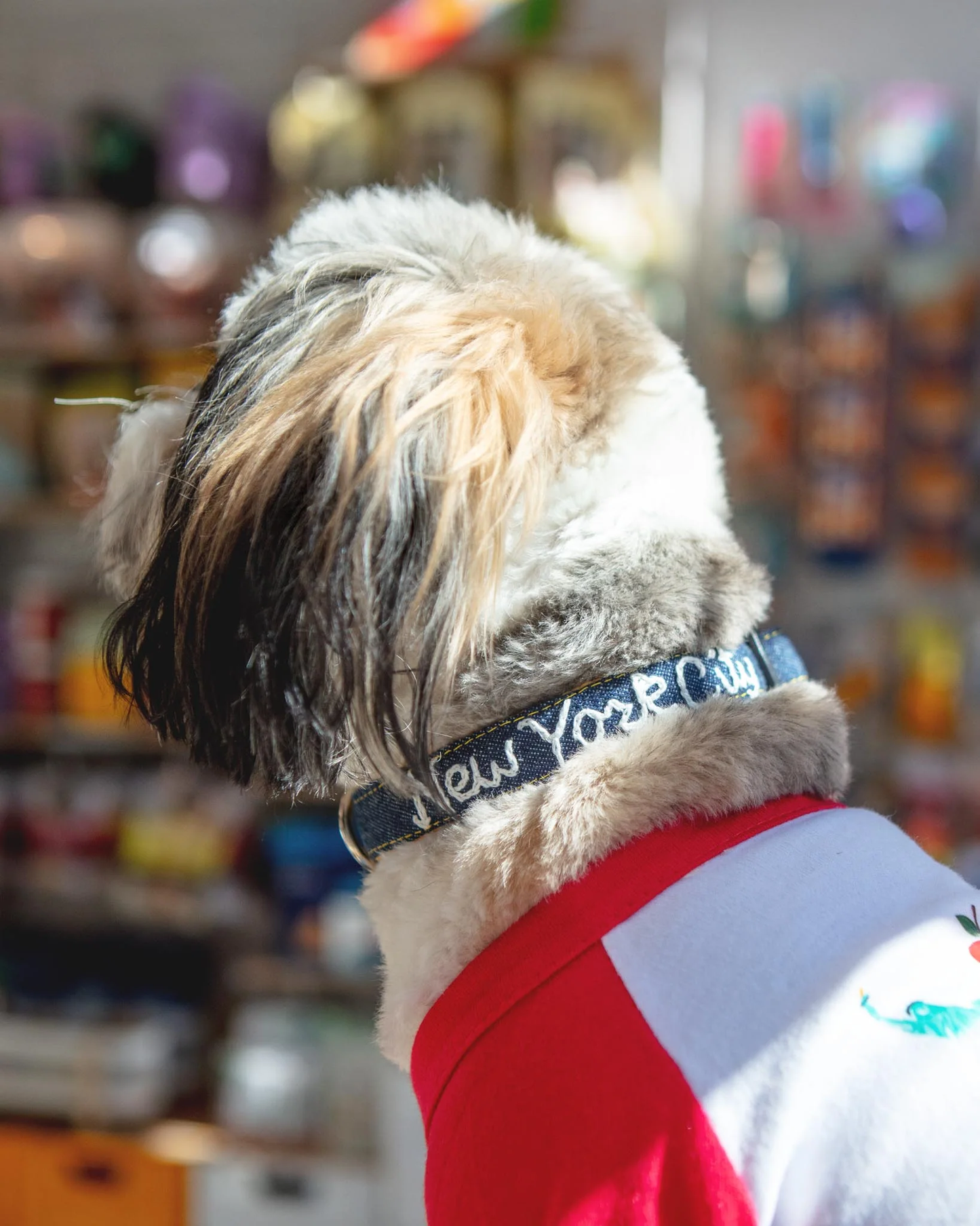 Hand Embroidered New York City Dog Collar in Dark Denim (Made in the USA)