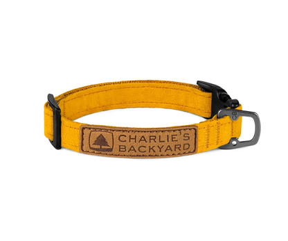 Easy Dog Collar in Yellow CHARLIE'S BACKYARD