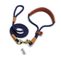 Lightweight Dog Leash Walking For Puppies