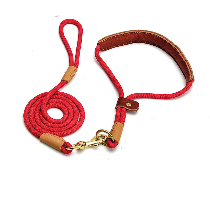 Lightweight Dog Leash Walking For Puppies