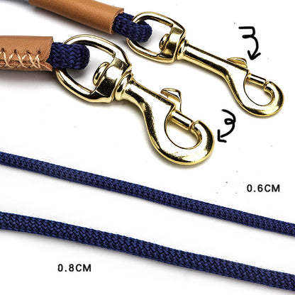 Lightweight Dog Leash Walking For Puppies