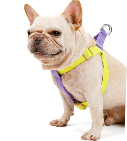 Dog Harness And Leash No Pull Nylon Pet Leashes For Small Dogs French Bulldog Chihuahua Lead Leash And Collar Set For Yorkies