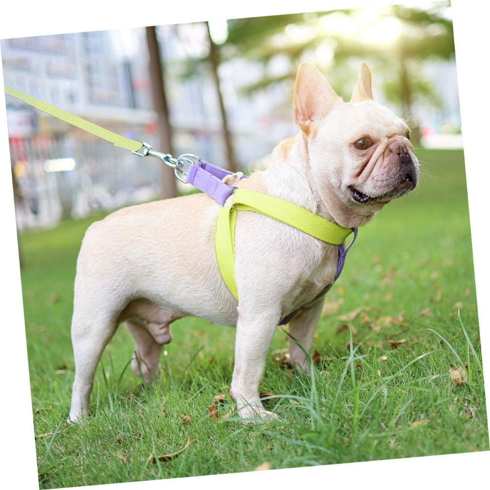 Dog Harness And Leash No Pull Nylon Pet Leashes For Small Dogs French Bulldog Chihuahua Lead Leash And Collar Set For Yorkies