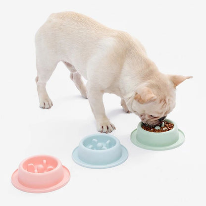 Pet Slow Eating Feeder Dog Feeding Food Bowls Anti-Chocking Dog Bowl Interactive Puppy Food Plate Dishes